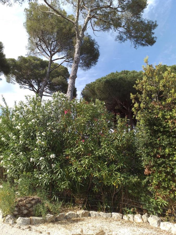 Villa Mediterranea Les Issambres Eksteriør bilde
